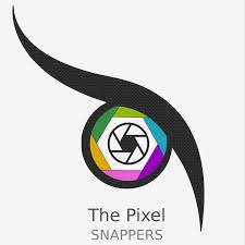 The Pixel Snappers